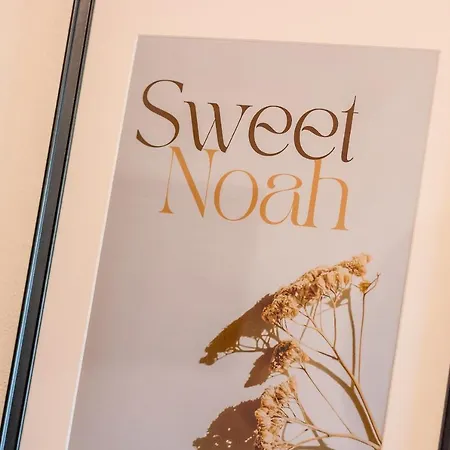Sweet Noah * Albufeira